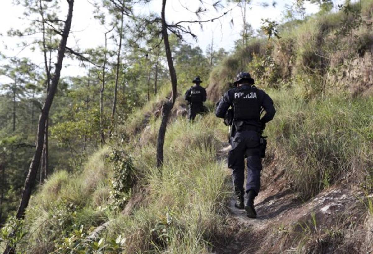 Honduras: Tras la cacería de coyotes