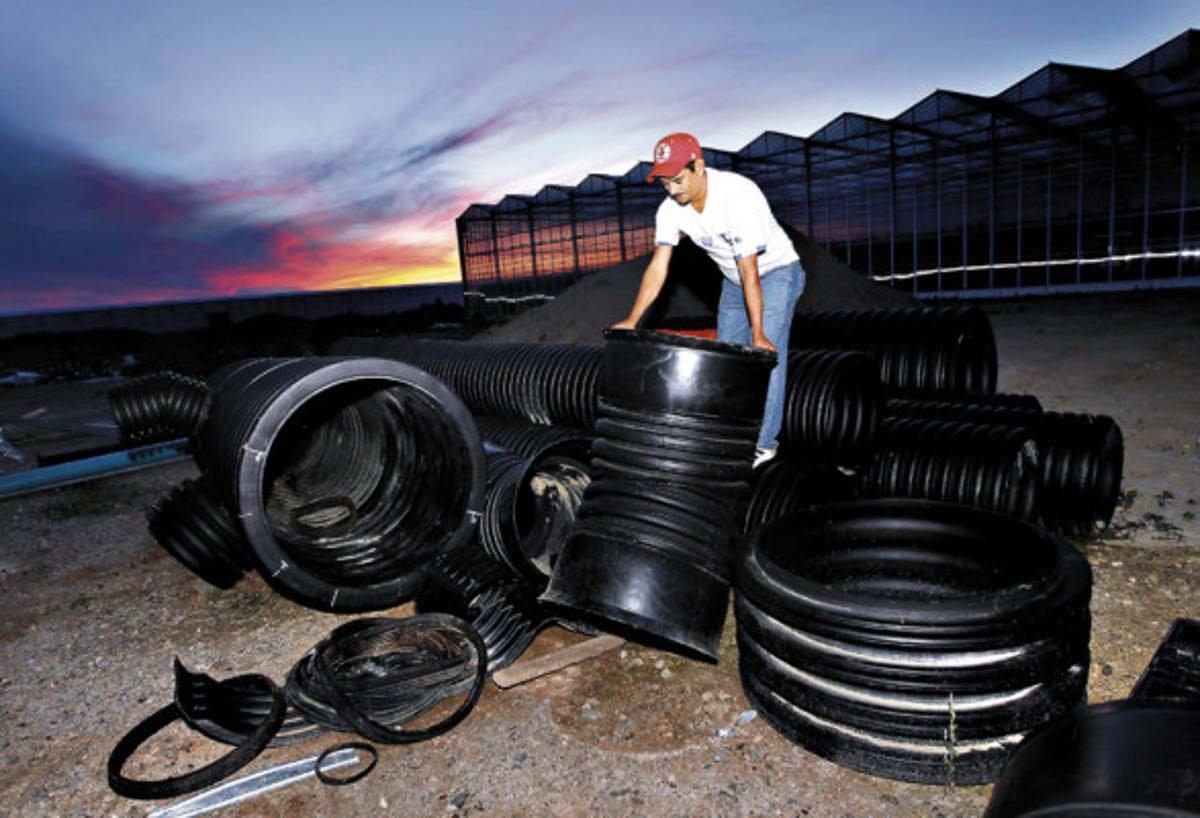 Exclusiva de EL HERALDO: Cerca de 25,000 catrachos viven el 'sueño canadiense”