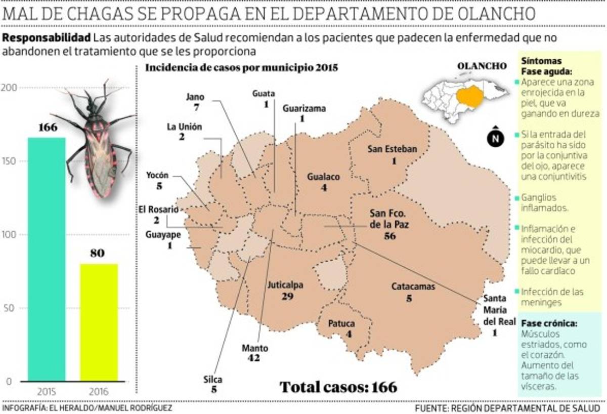 Chinche picuda propaga el mal de Chagas en 16 municipios de Olancho