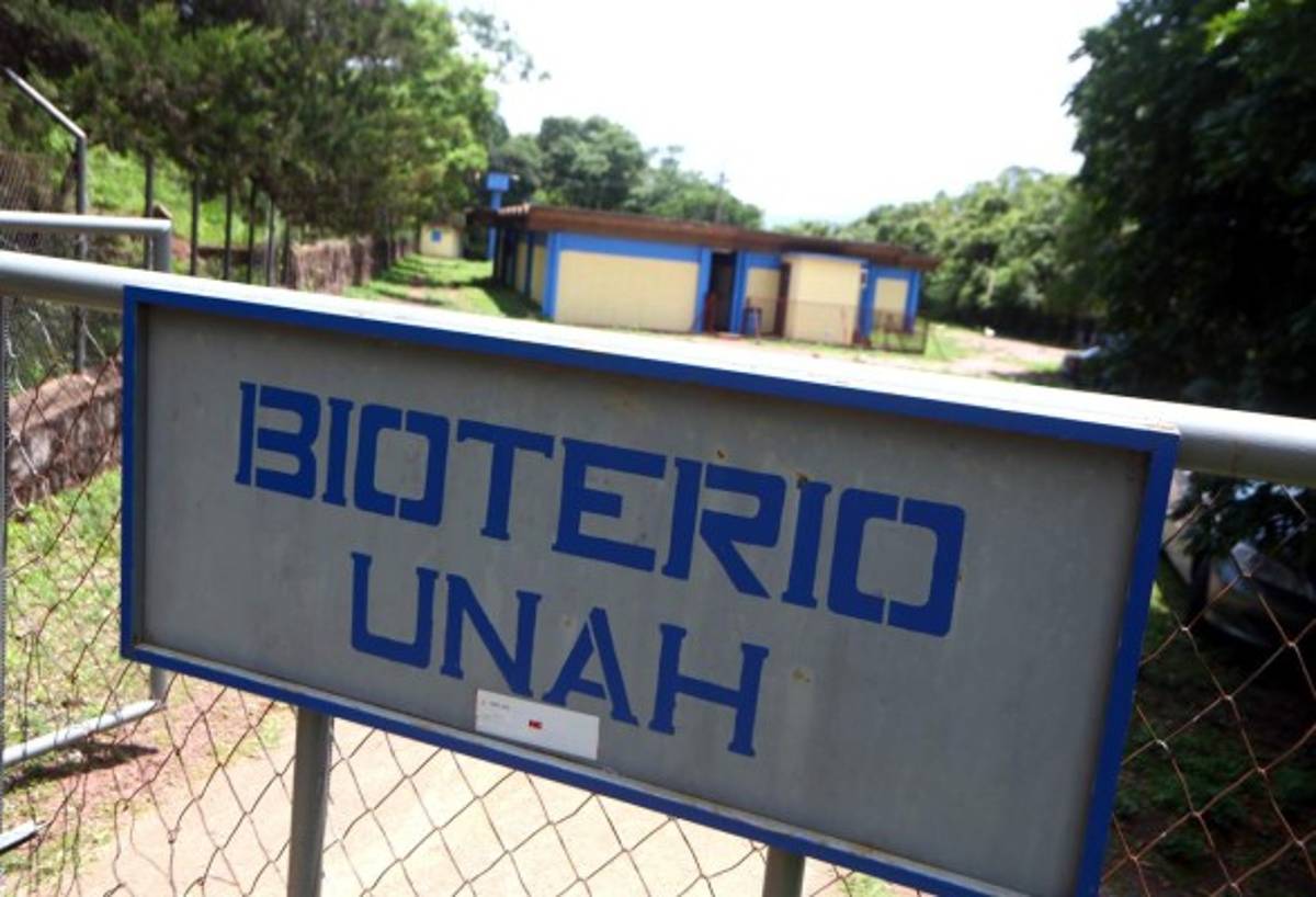 Universitarios retoman estudios con especies criadas en laboratorio