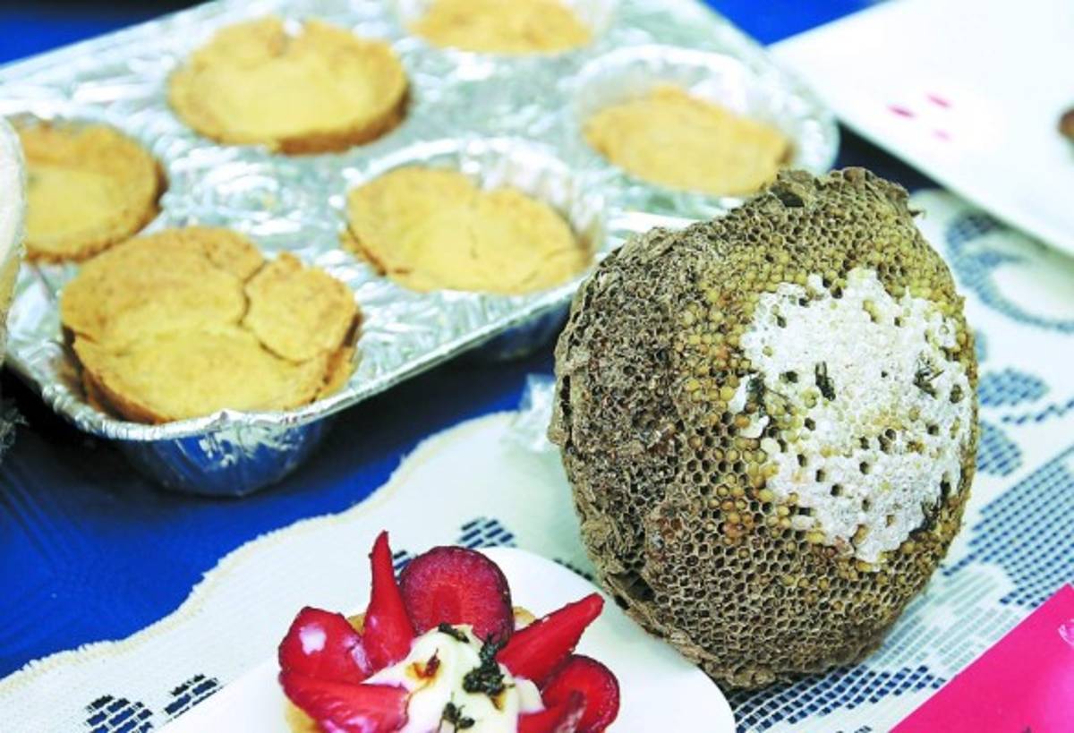 Suculenta... exquisita... así estuvo la feria de invertebrados en ciudad universitaria