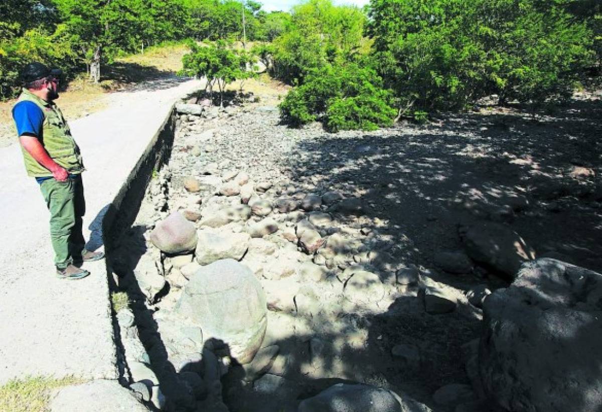 Frutas y bubuchas están comiendo en el corredor seco