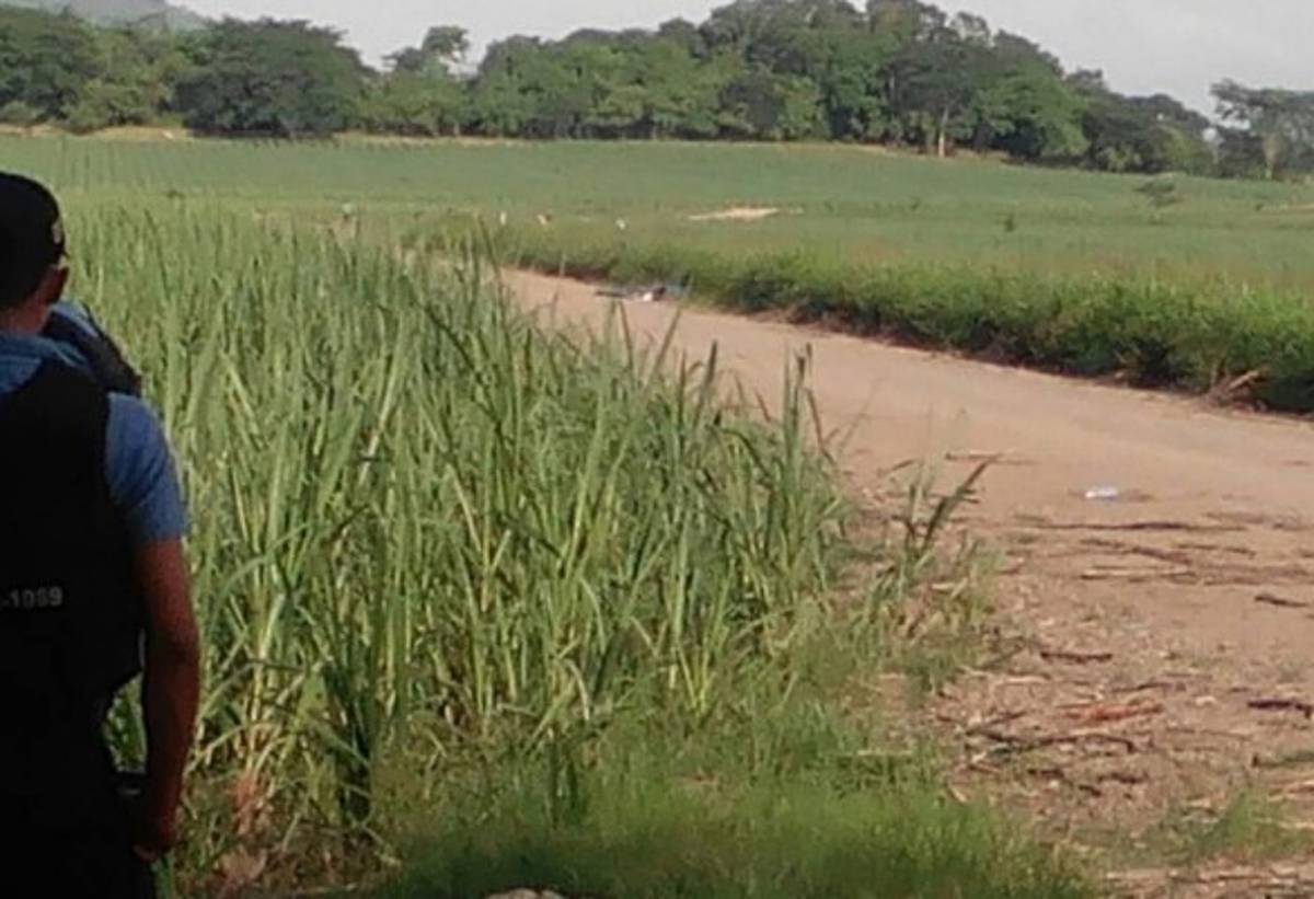 Matan a tres jóvenes en las cañeras de La Lima, Cortés