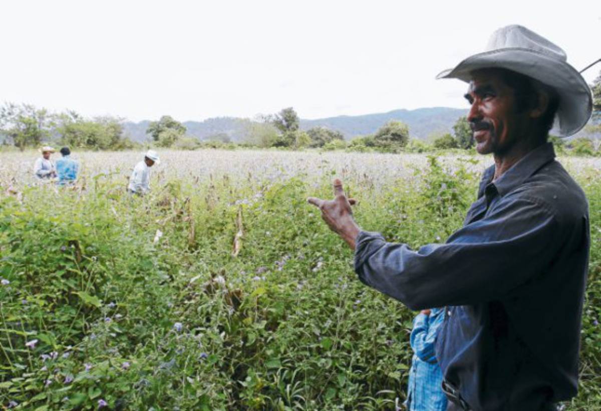 La tierra que cosechó a Donis Escober