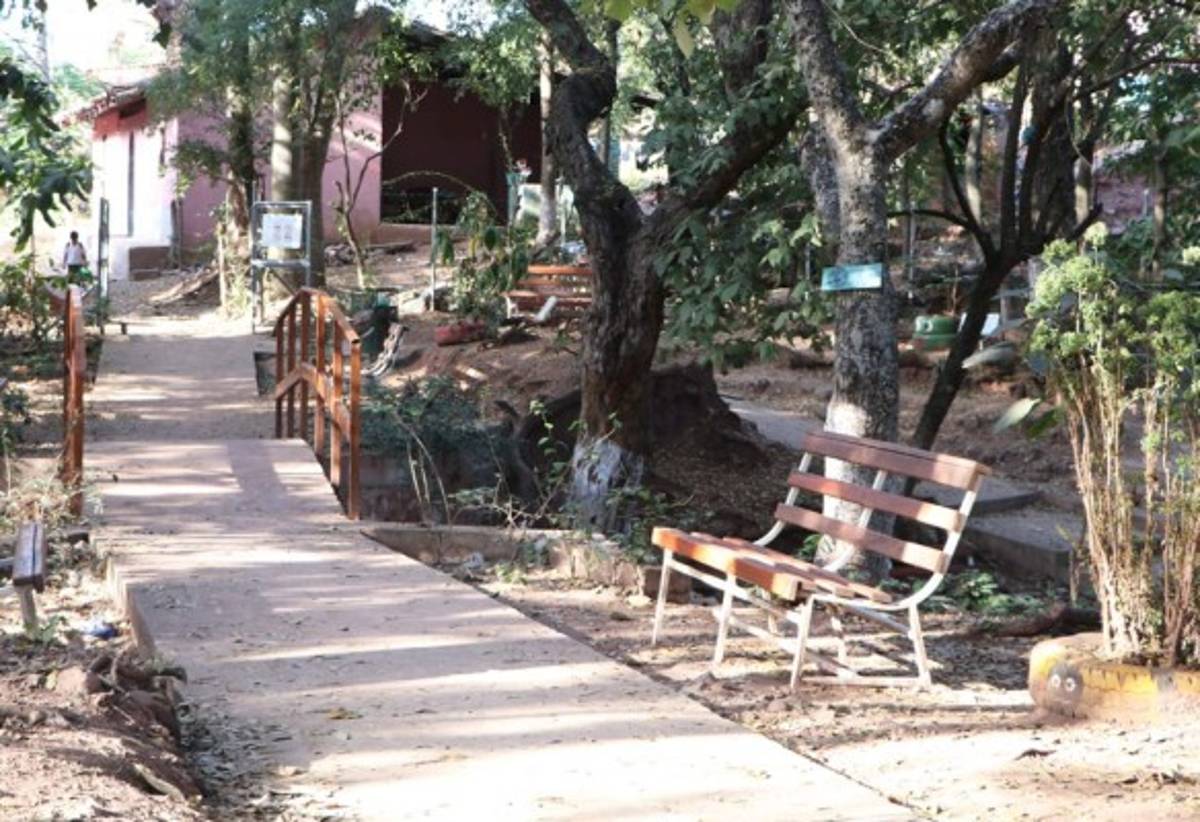 Tierra Adentro: Villa de San Francisco, cuna de tradiciones y reverencia a la naturaleza