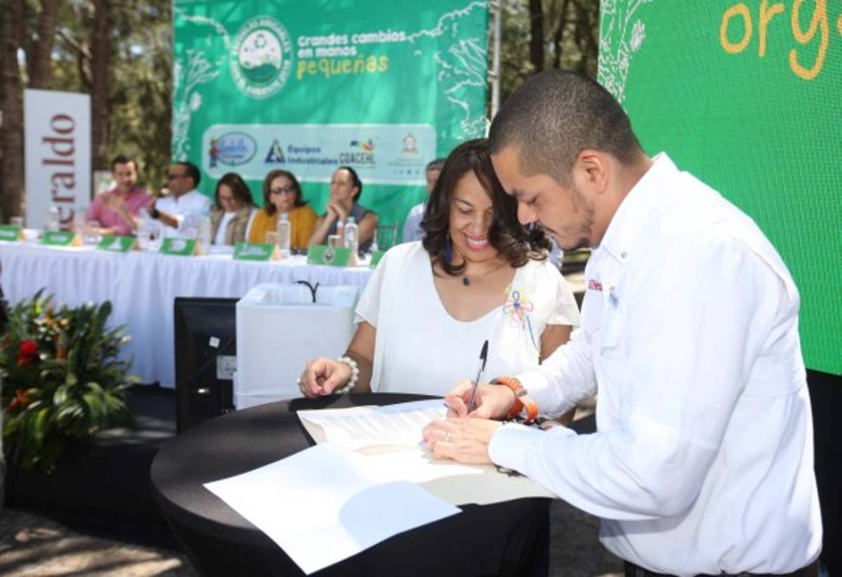 Escuelas Amigables con el Ambiente otorgará su sello verde a 10 escuelas