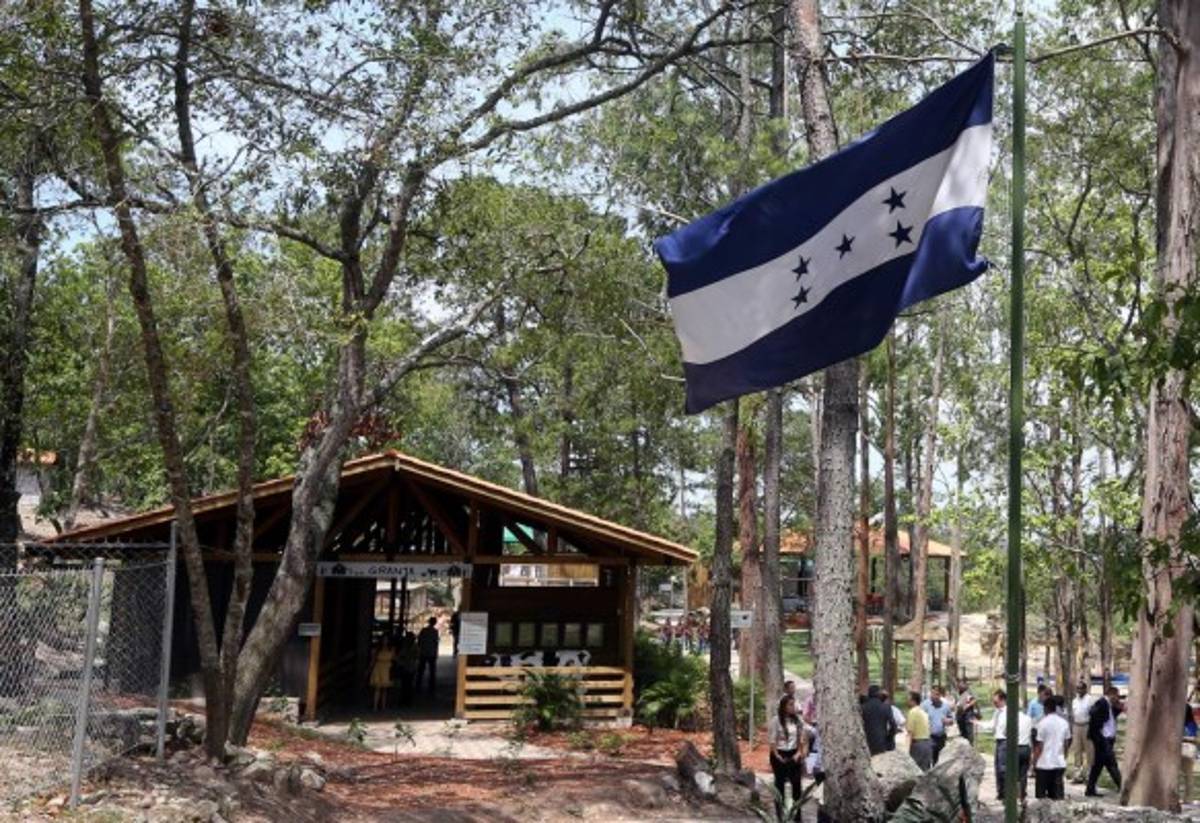 Invierten 4.4 millones en nuevas obras del zoológico Rosy Walther