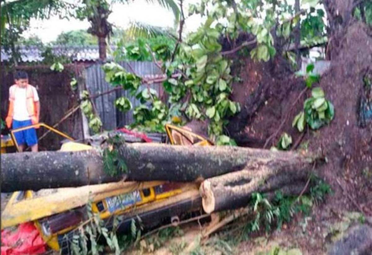 Fuertes vientos causan muerte de una mujer en El Salvador