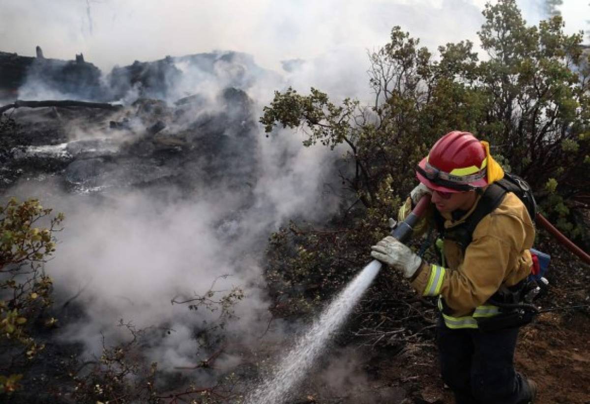 El 27% de los incendios atendidos a nivel nacional son de la capital