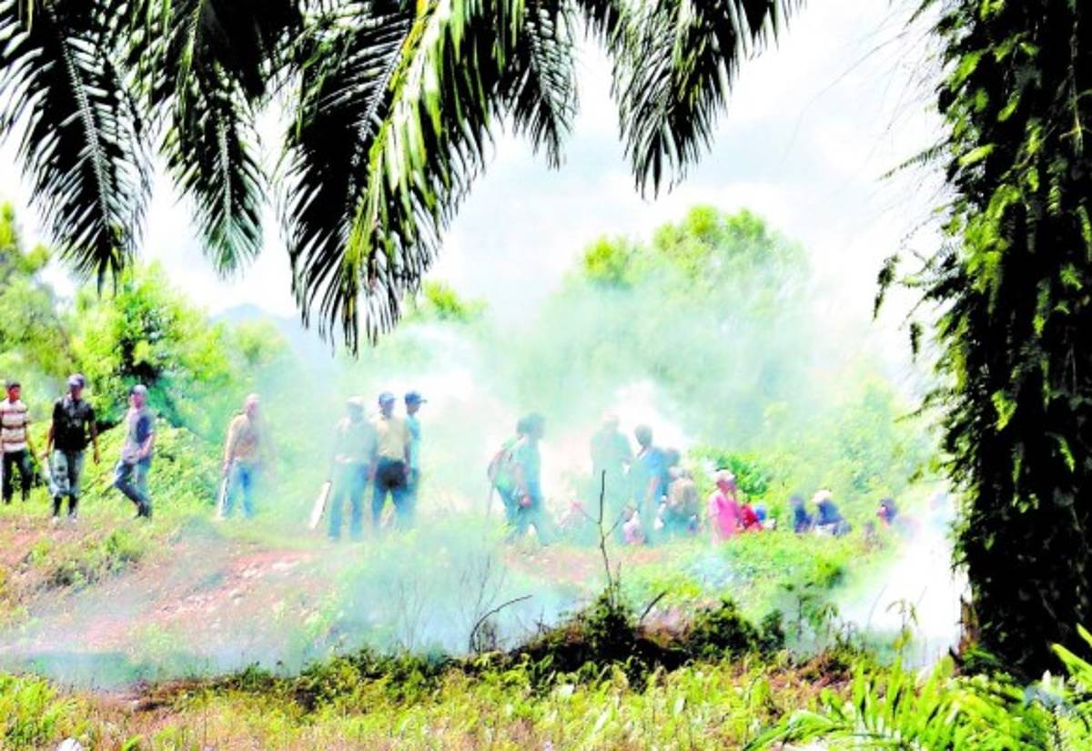 Campesinos se toman finca, pero fueron desalojados