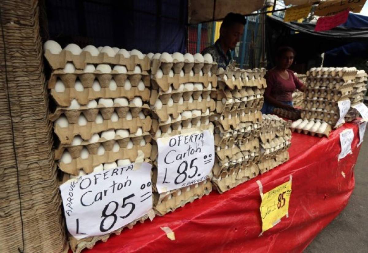 Honduras: Precios del huevo no bajan en los mercados capitalinos