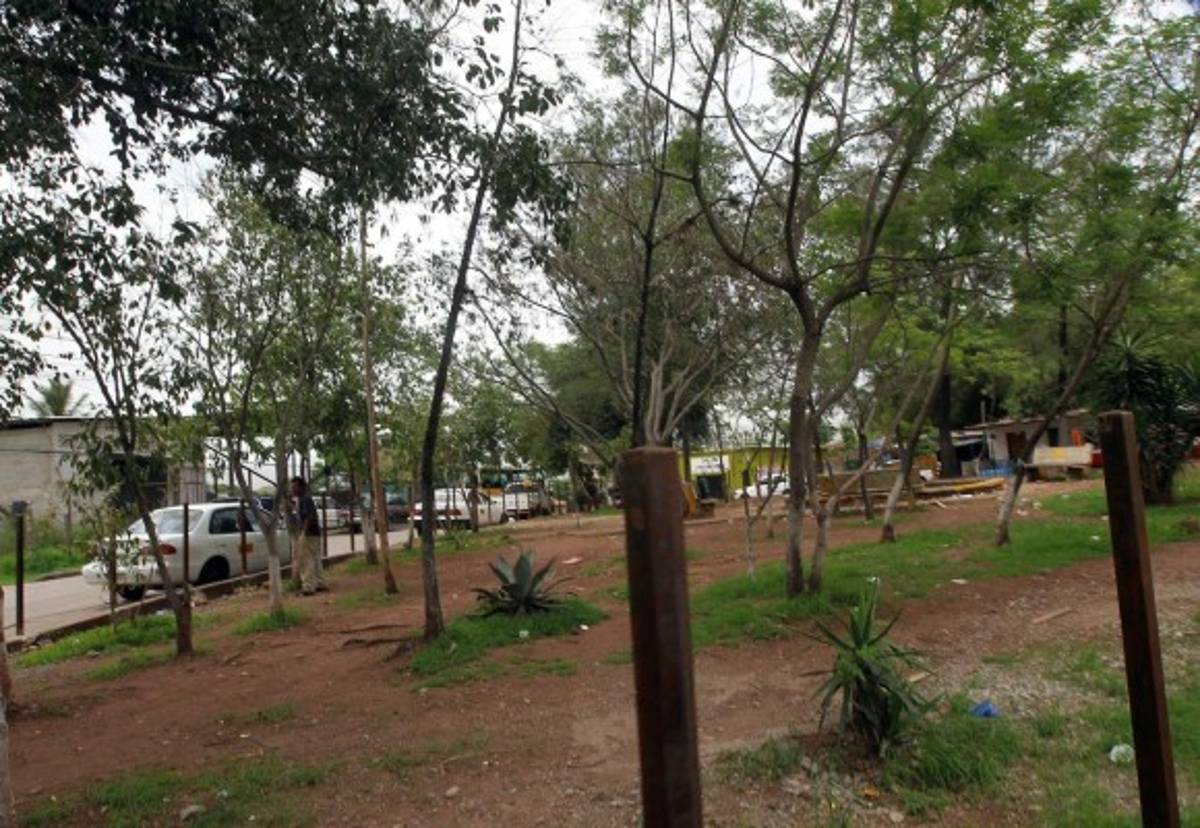 Con lotificación de áreas verdes regulan venta ilegal de predios