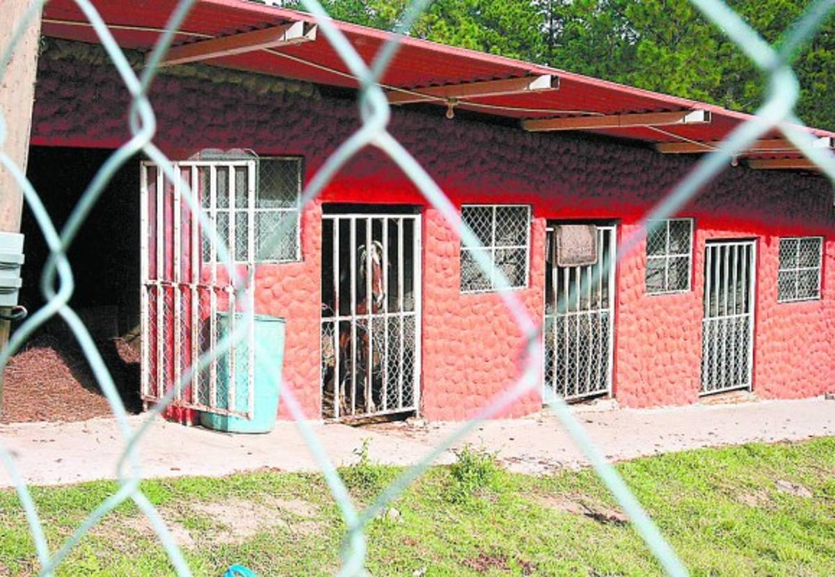 Mansión de Marcelo Chimirri pasa a poder de la Cruz Roja Hondureña