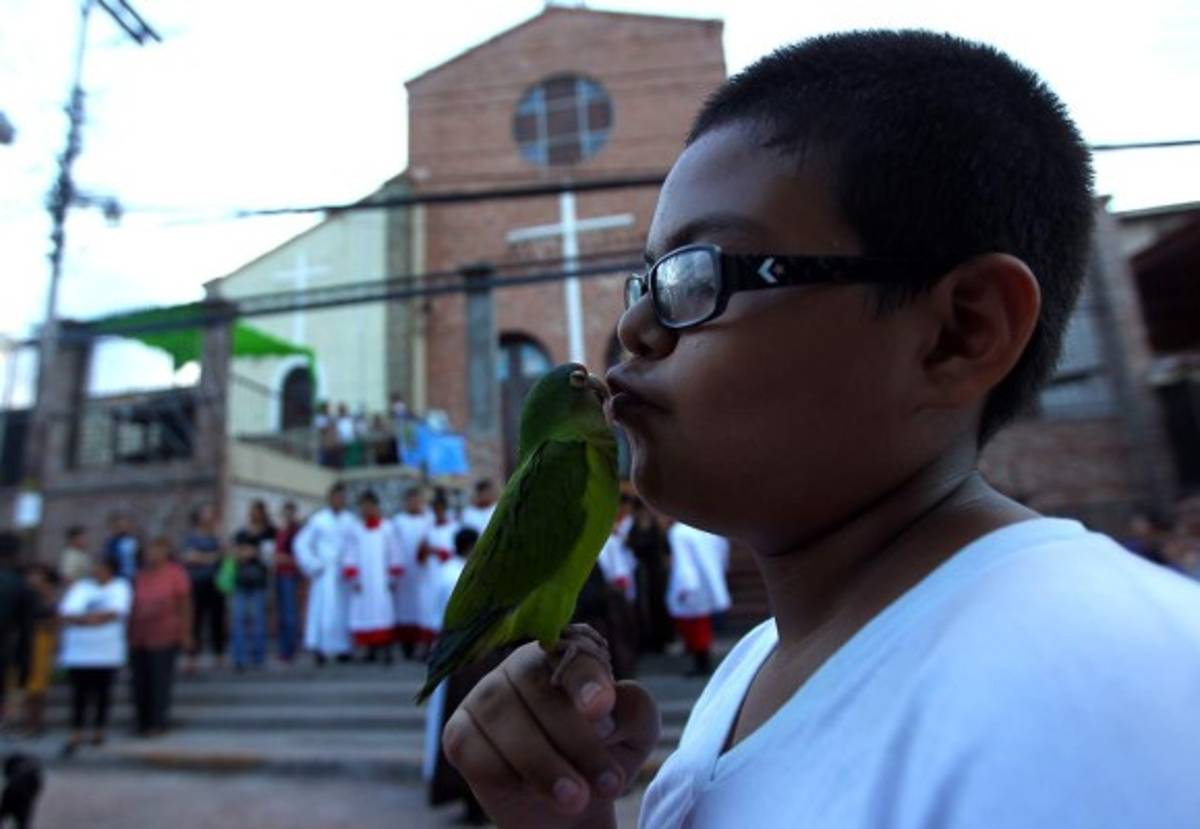 Honduras: Singular festejo para mascotas