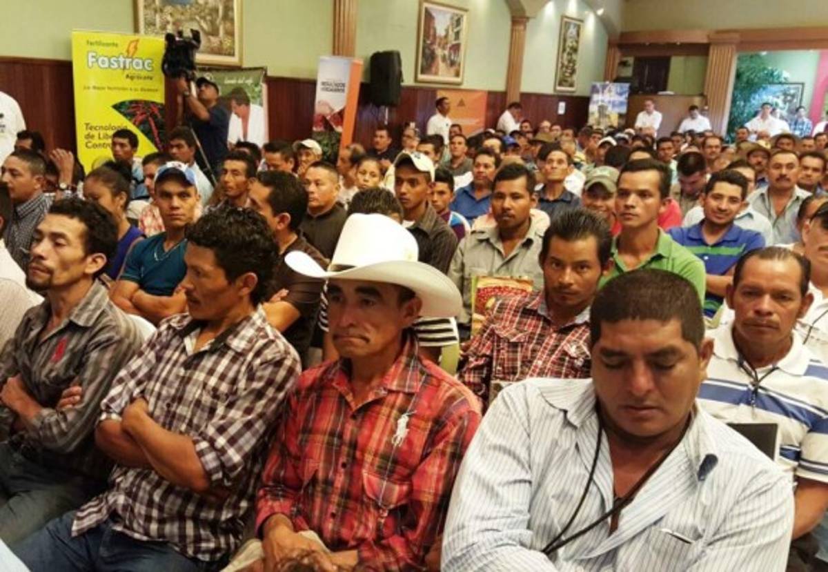 Ahprocafe realiza 48 Congreso Cafetalero