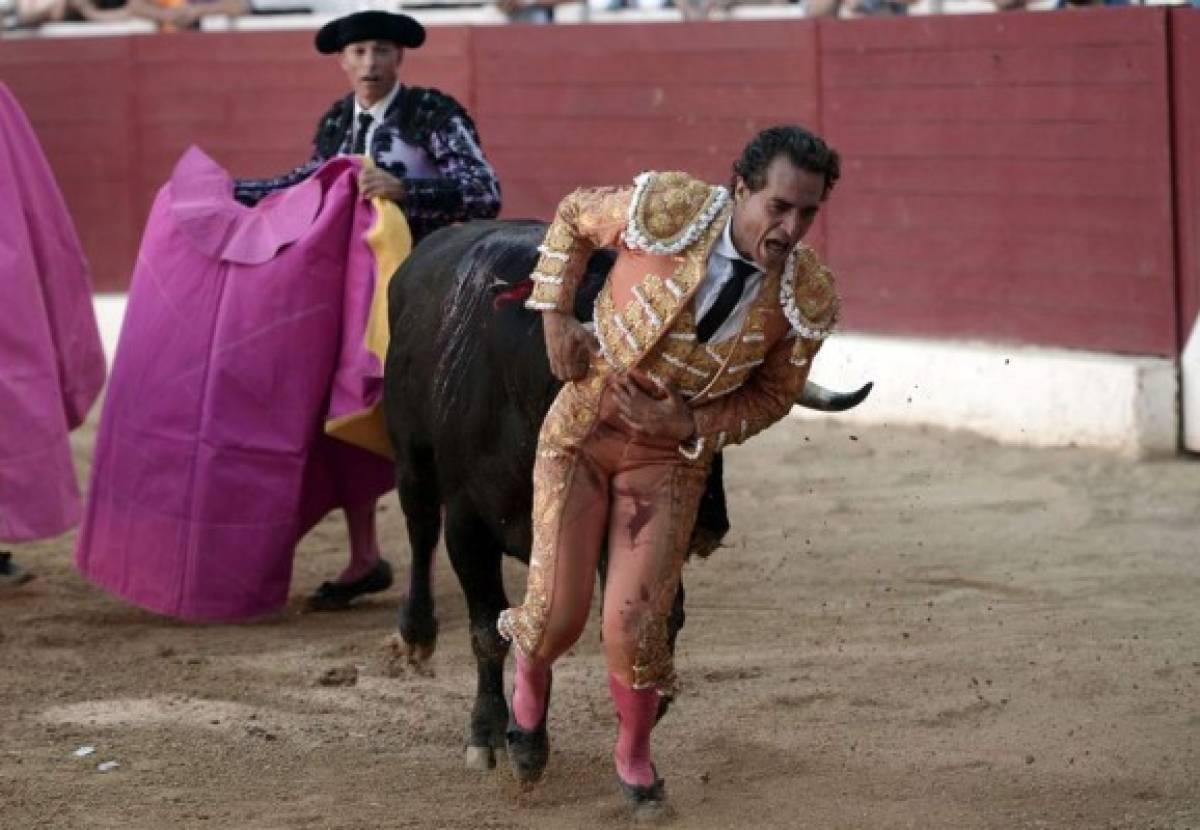 Muere el torero español Iván Fandiño tras sufrir una cornada en Francia