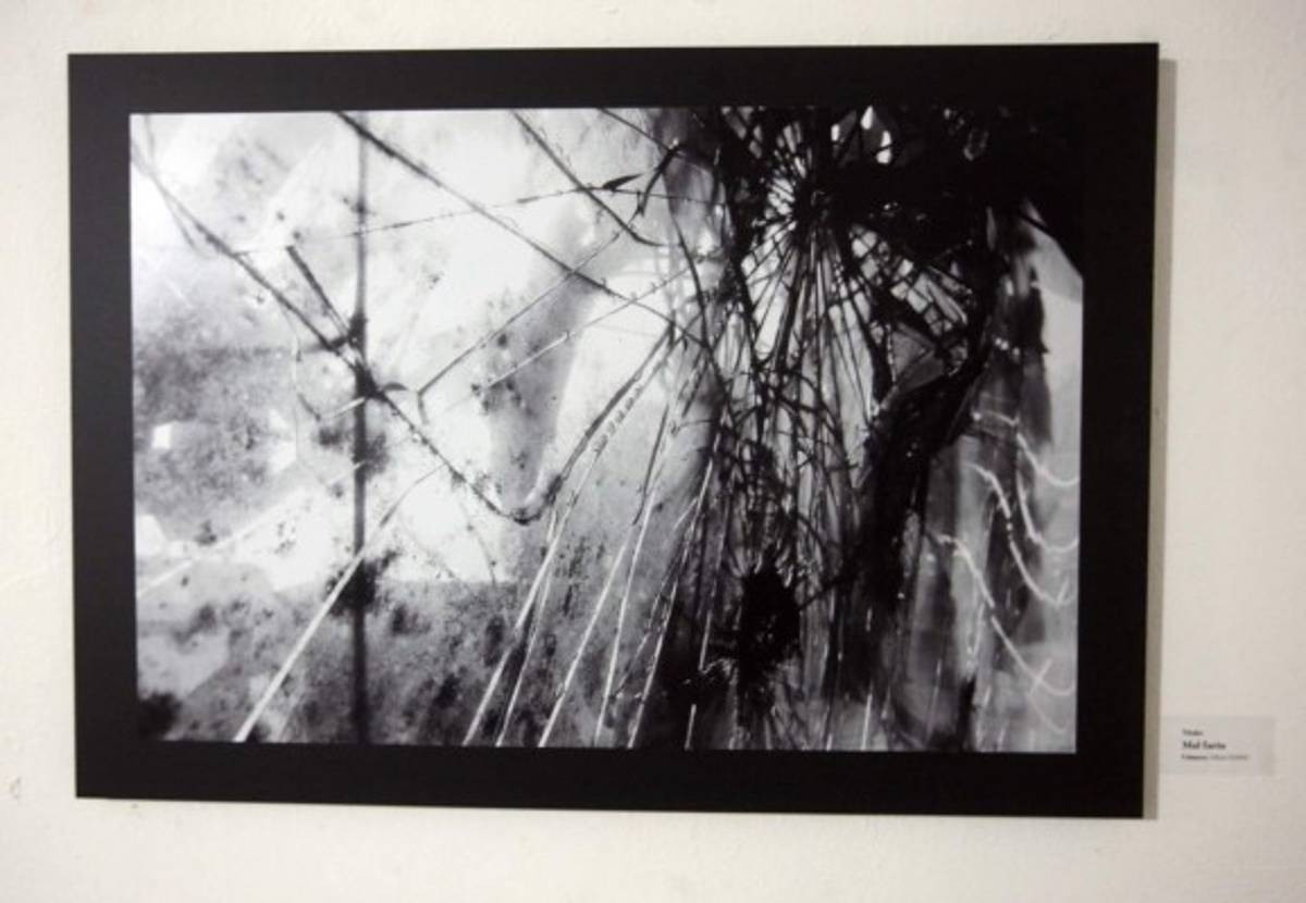 Objetos expuestos en la muestra 'Contra luz de la materia”