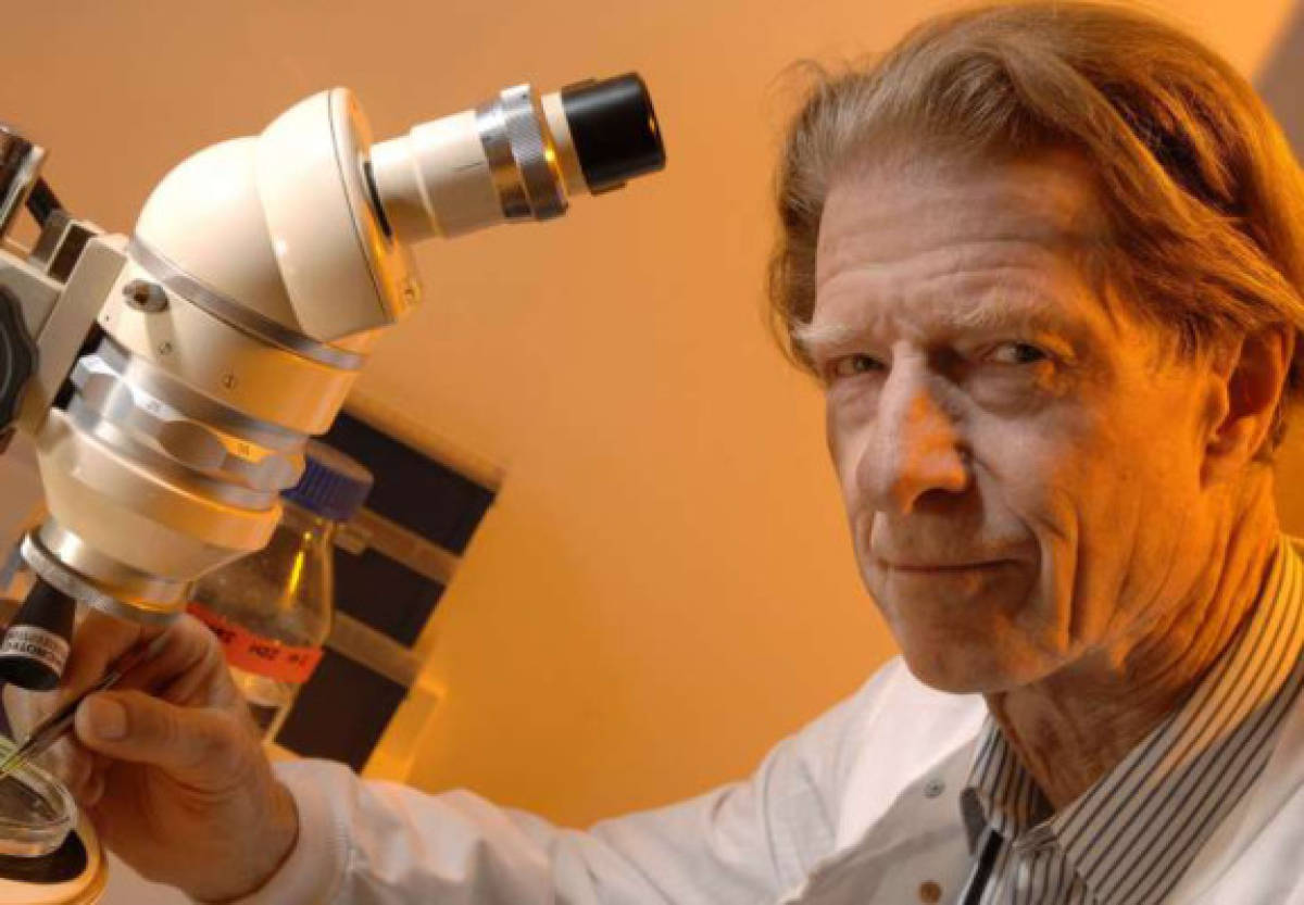 Nobel de Medicina a dos expertos en ingeniería genética