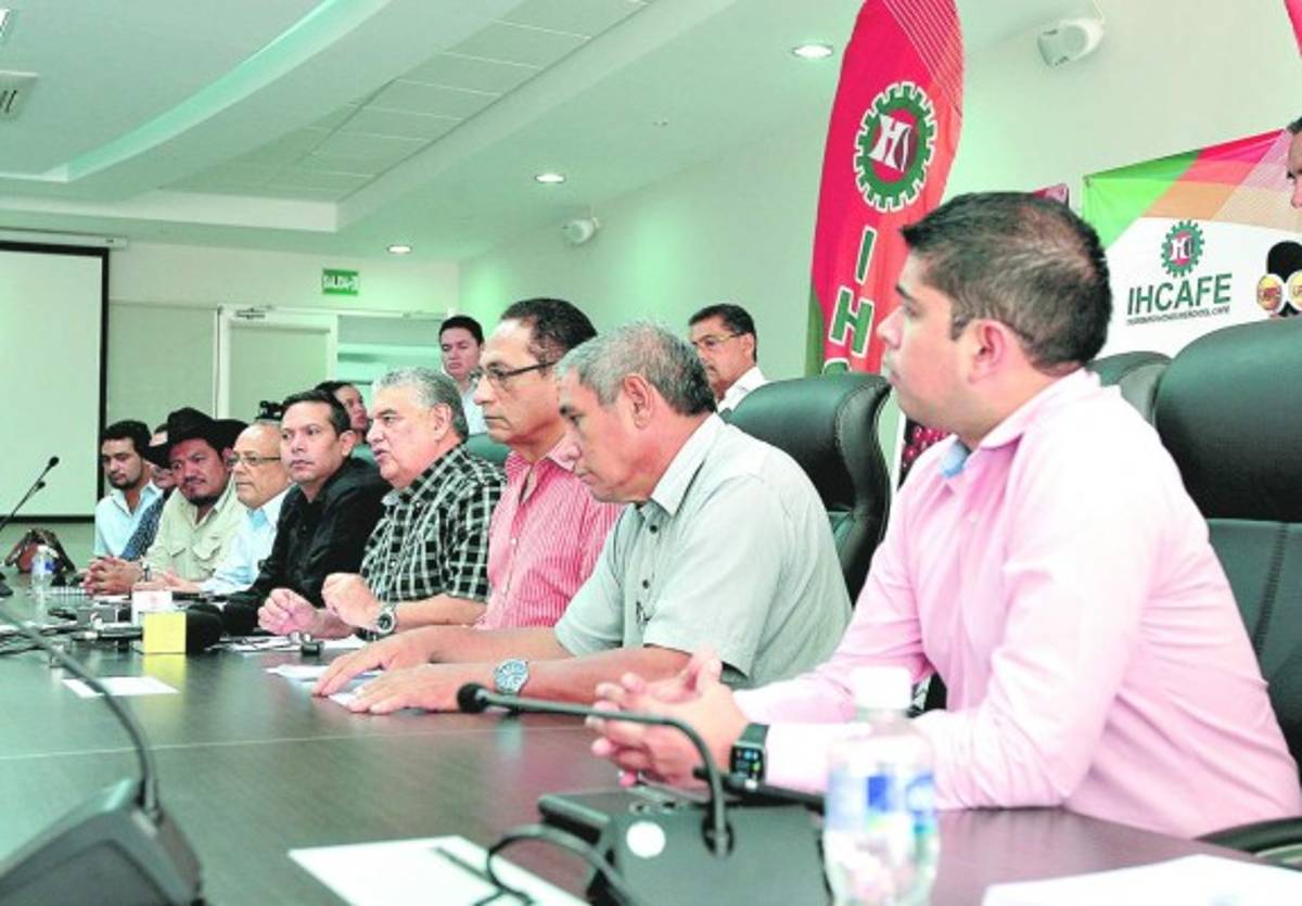 Nueva especie de roya se extiende a ocho departamentos del país