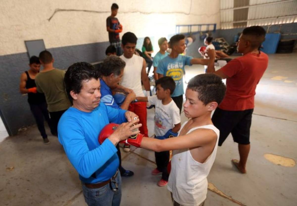 Con mucha paciencia, Geovani le coloca los guantes a los pequeños que han decidido decir no a la violencia y sí al deporte (Foto: El Heraldo Honduras/ Noticias de Honduras)