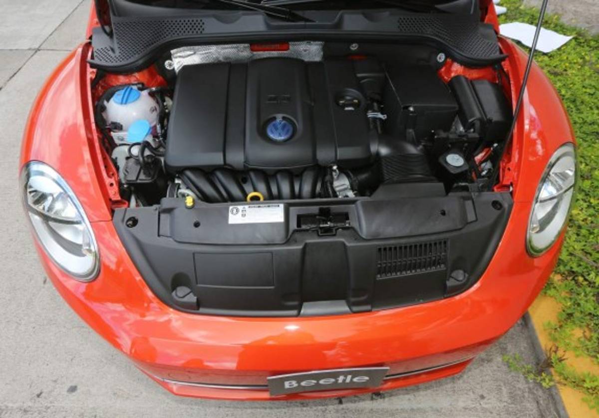 Versatilidad y resistencia con el mítico Beetle Sport 2016