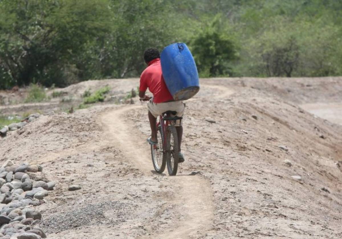 Niños y niñas volvieron a la escuela a construir su futuro