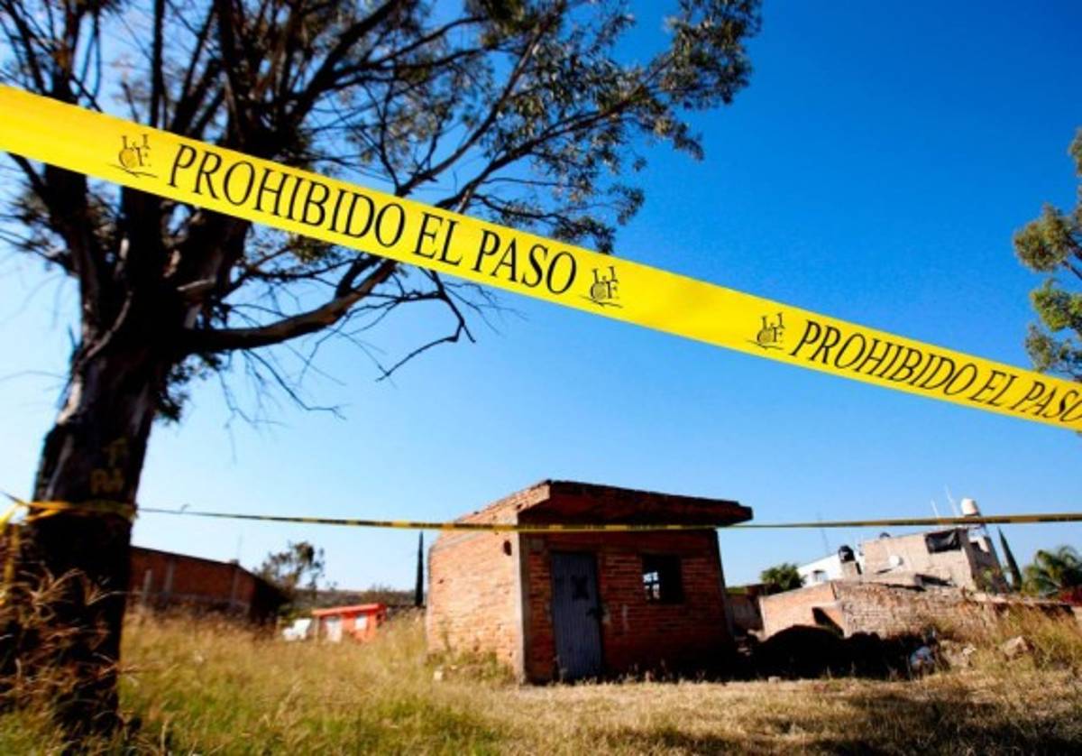 Descubren en México fosa con 29 cadáveres cerca de otras tumbas ilegales