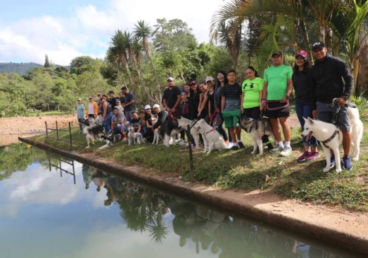 Huskylandia Hn, una manada de amigos unidos por el bien de sus mascotas