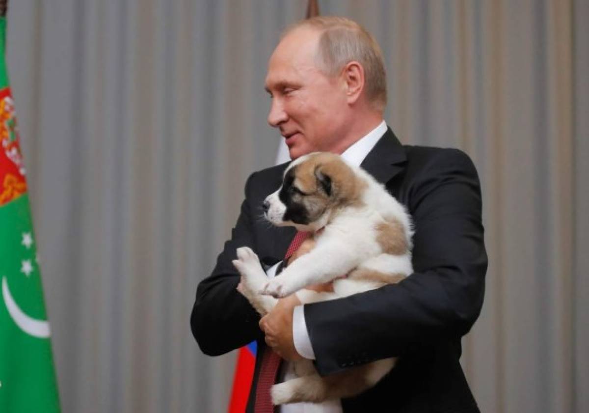 Putin, amante de los perros, recibe cachorro como regalo