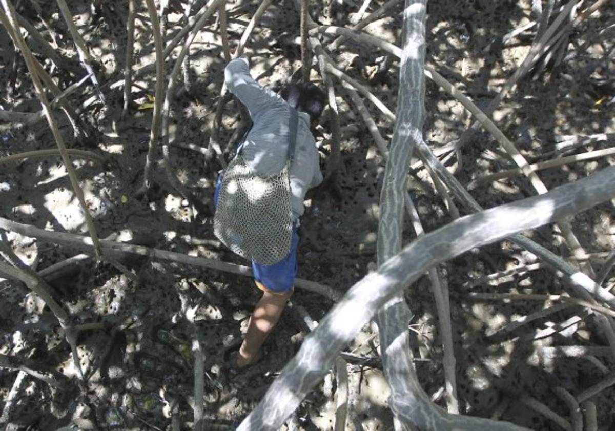 Niños y niñas volvieron a la escuela a construir su futuro