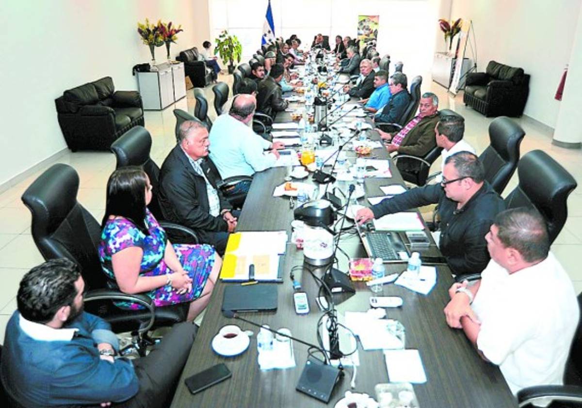 La OIC analizará propuestas de los caficultores del país