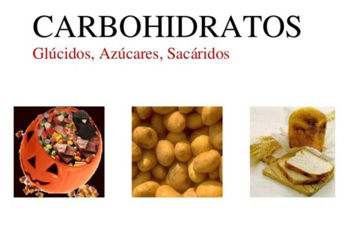 Tipos de carbohidratos.