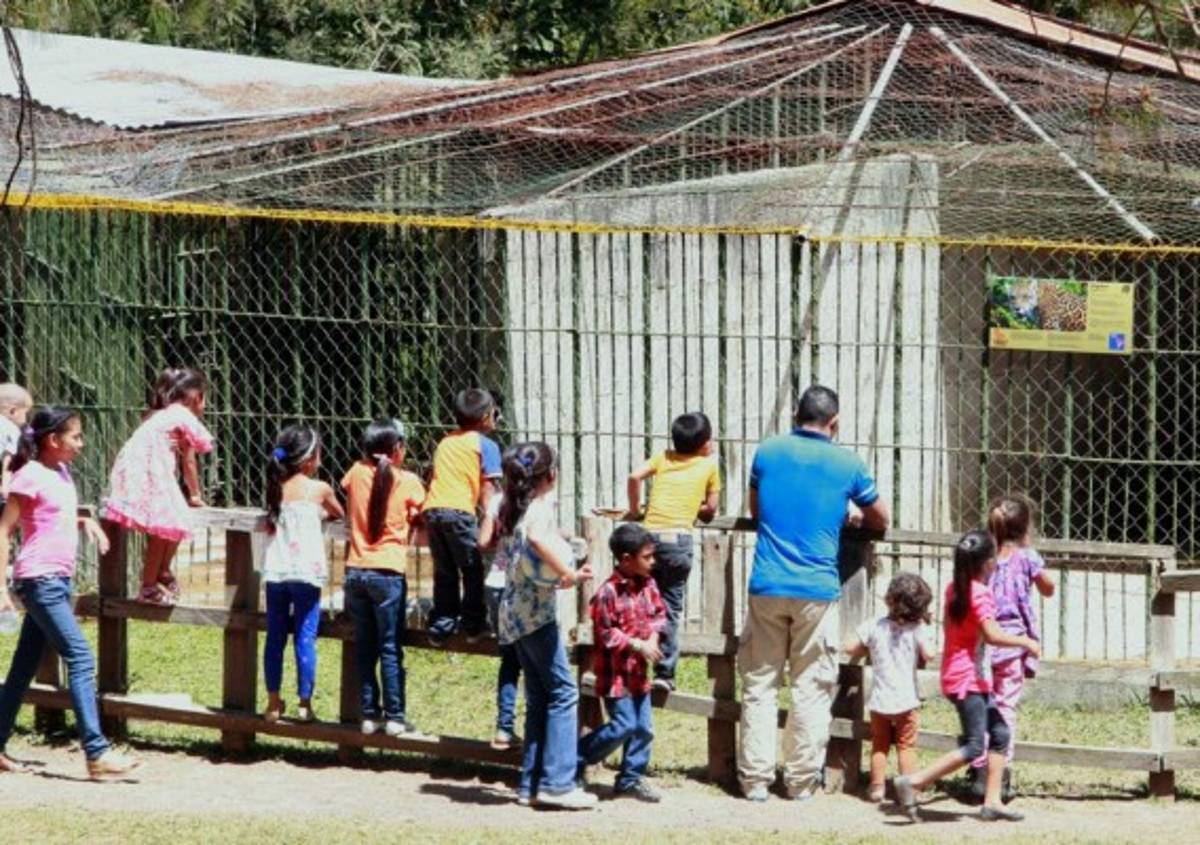 Un lugar ideal para el turismo en el Distrito Central