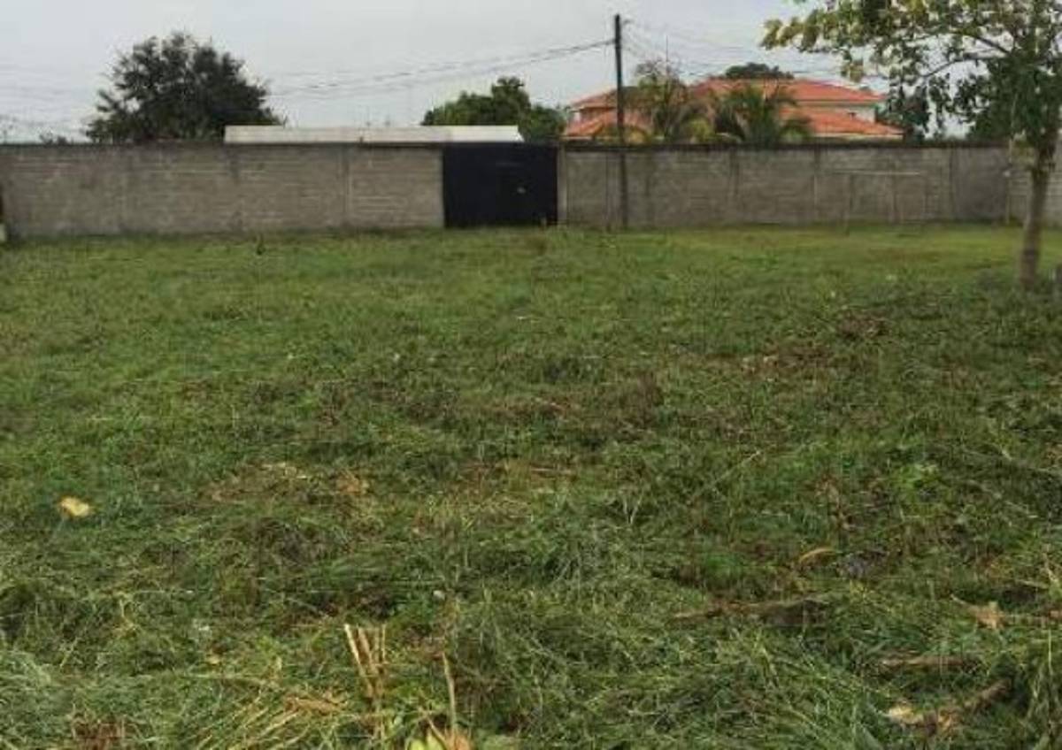 Unos 21 terrenos entre nuevas incautaciones a supuesto narco en Colón