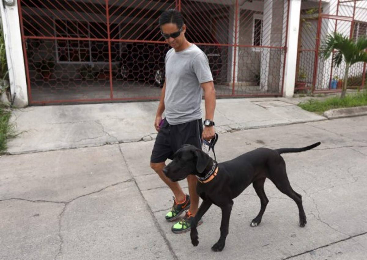 Consejos para entrenar a su perro en casa