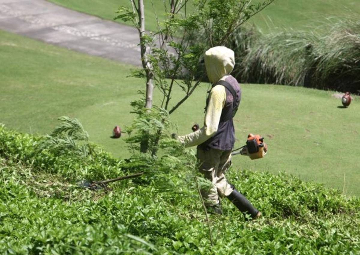 Disfrute el golf, playa y buceo en el club Pristine Bay Resort