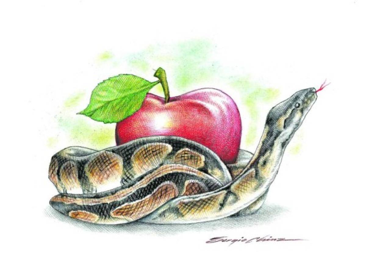 De nada sirvieron los gritos, las esposas de acero se cerraron alrededor de las muñecas de Juan José y, ante el asombro de su padre y las lágrimas de su madre, lo subieron a la patrulla.