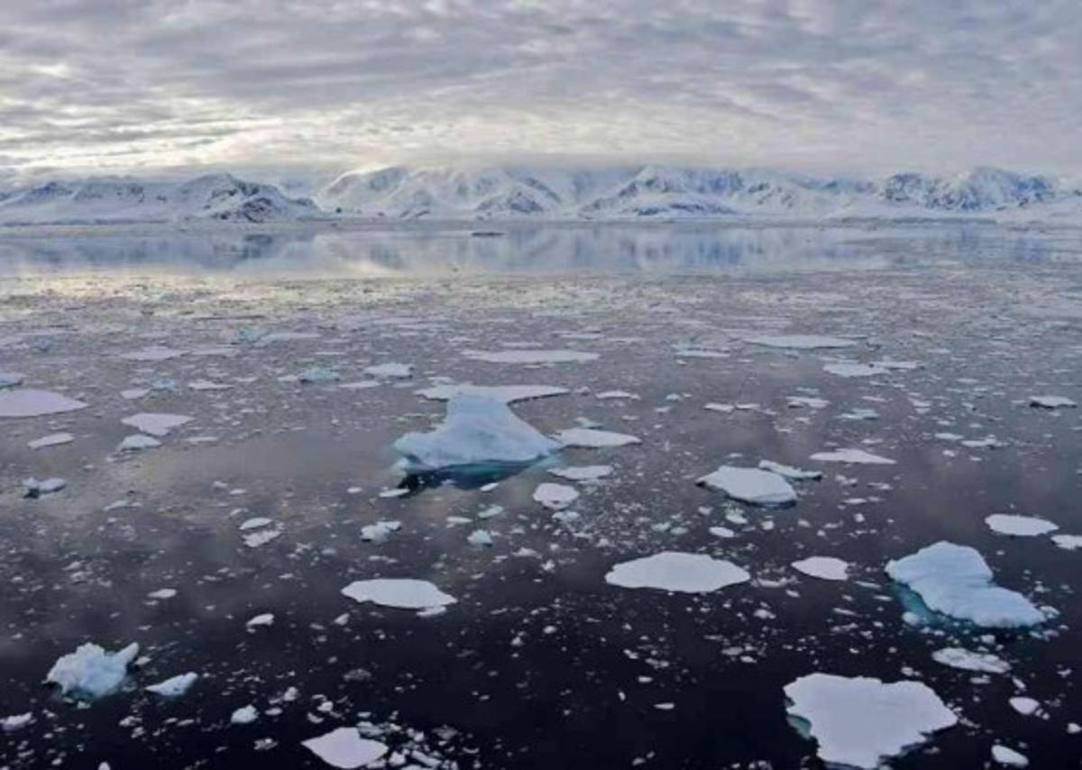 Microplásticos del tráfico por carretera amenazan la vida marina
