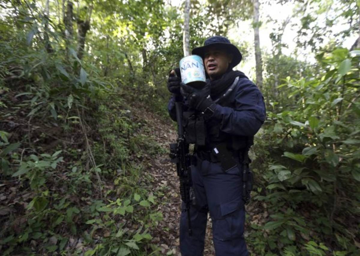 Honduras: Tras la cacería de coyotes