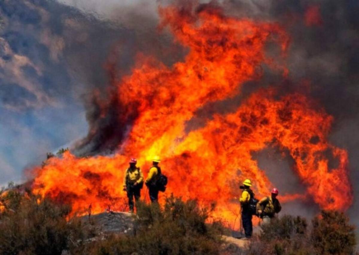 Bomberos batallan contra infernal incendio en Los Ángeles