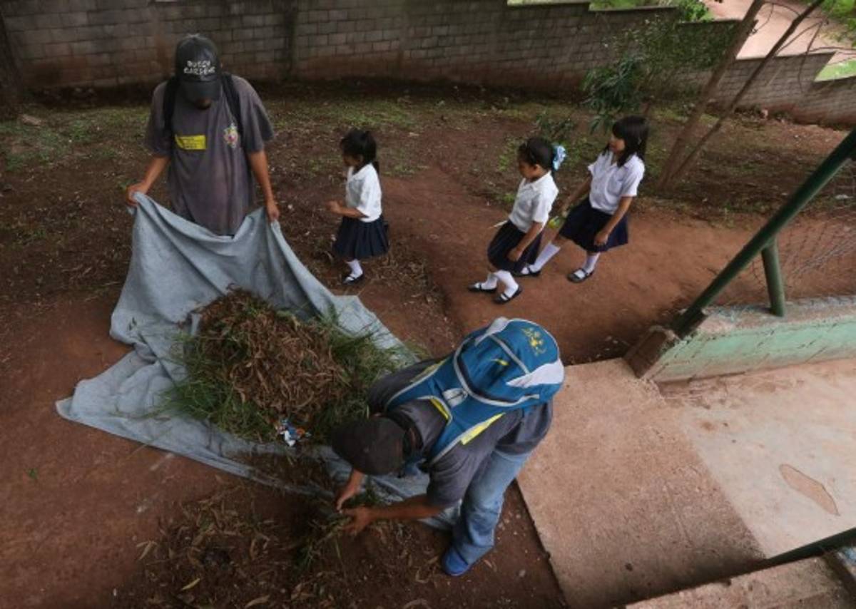 Cinco escuelas obtienen la marca ecológica ambiental