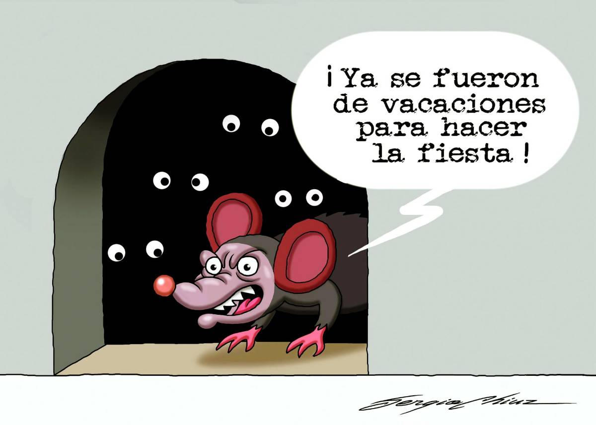 Las ratas aprovechan para vaciar las casas