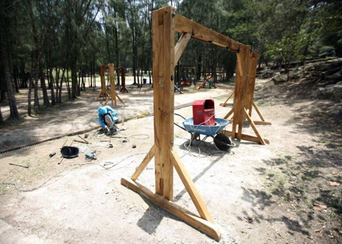 Cerrado canopy de parque El Picacho