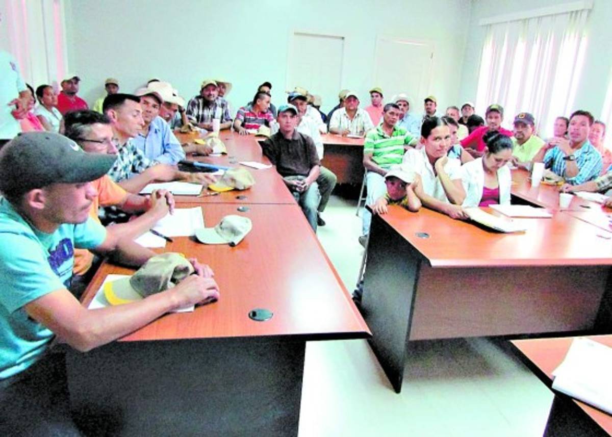 Sociabilizan proyecto de titulación de tierras