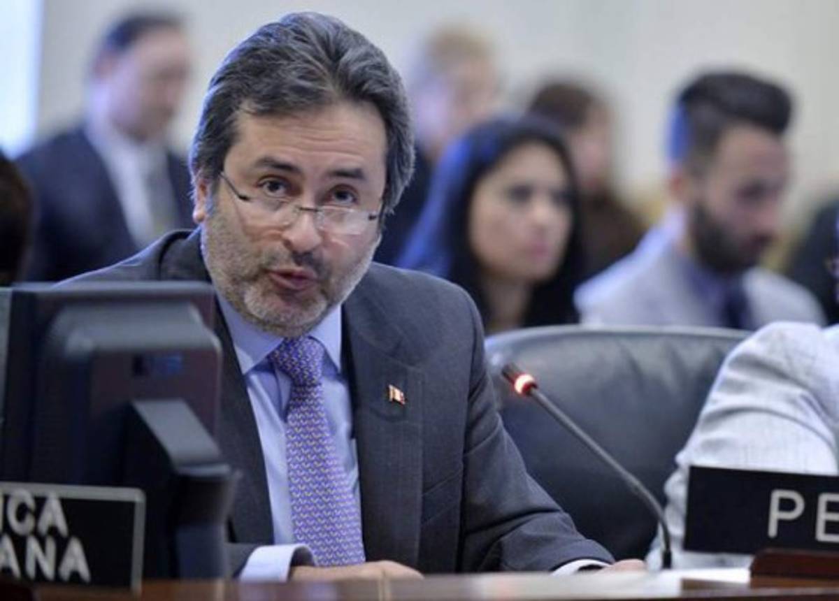 Trasciende posible despido de Gabriela Castellanos del Consejo Nacional Anticorrupción