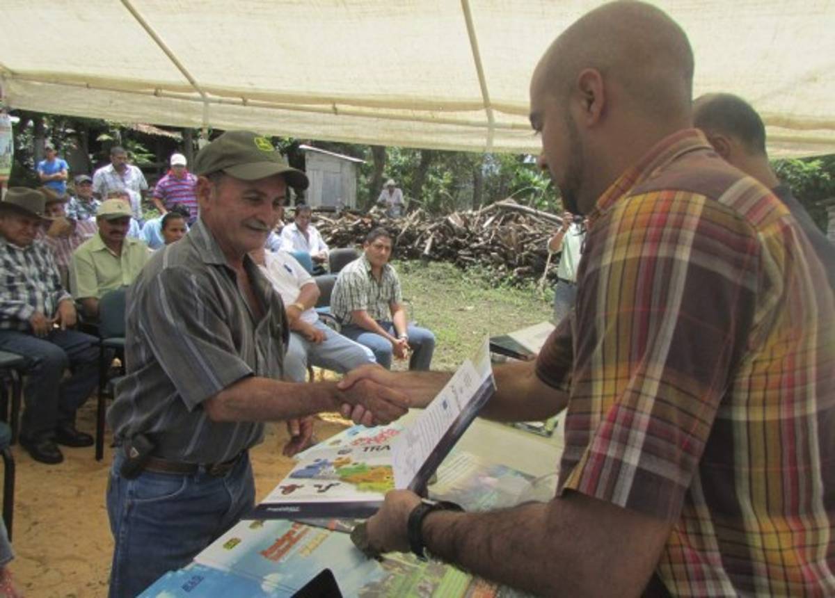 Ganaderos de El Paraíso empeñados en frenar la bruselosis en sus fincas