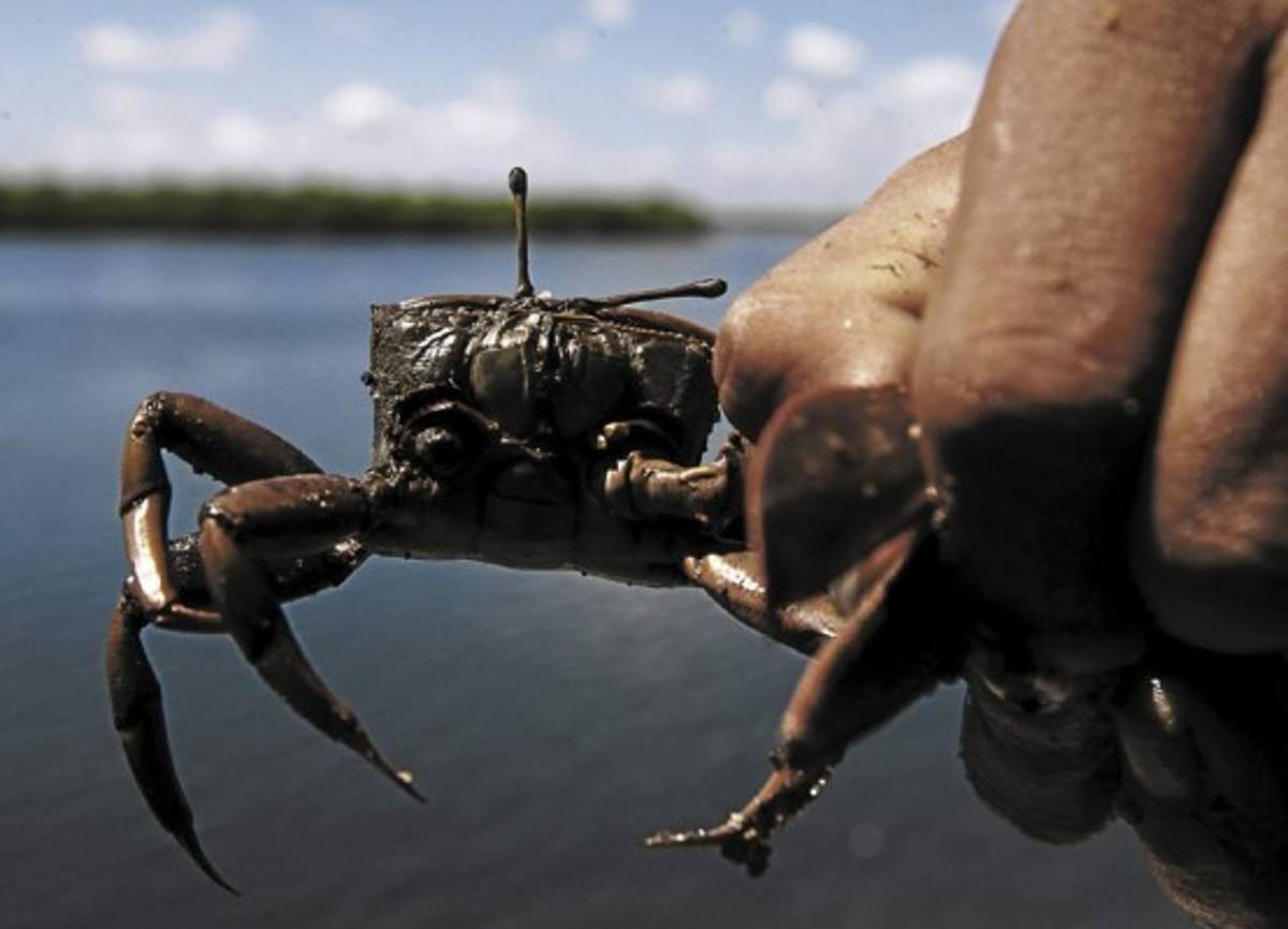San Lorenzo, una vista espectacular desde el cielo