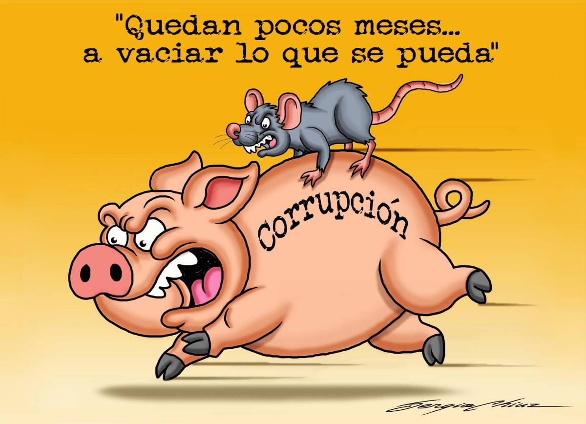 Carrera contra el reloj y contra la ley