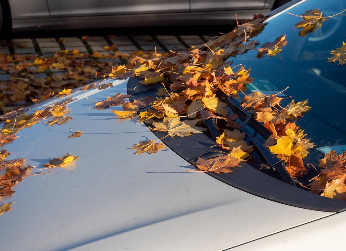 Cinco cosas que debes evitar para alargar la vida de tu auto