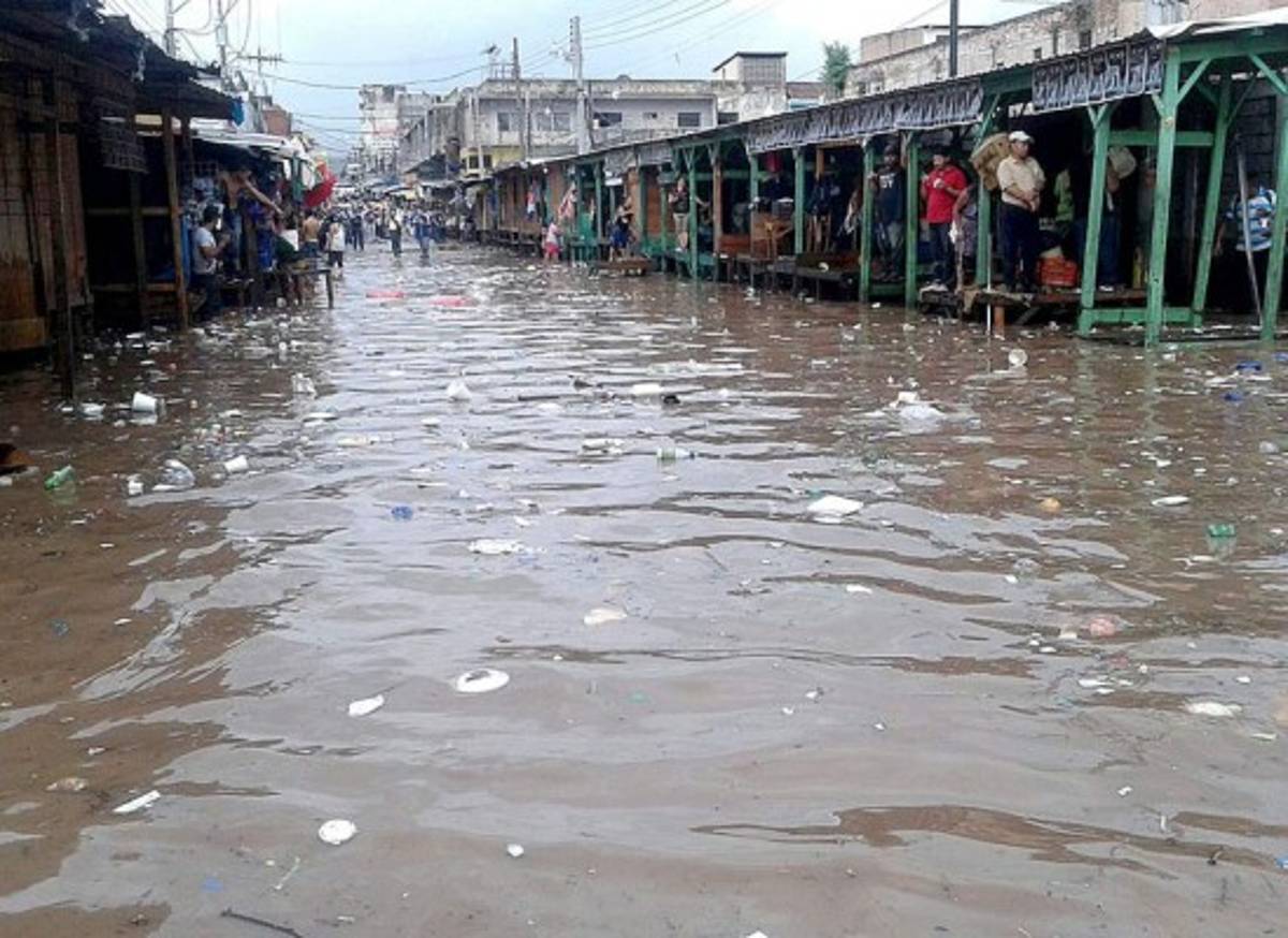 Un muerto y daños en 15 colonias deja tormenta en la capital